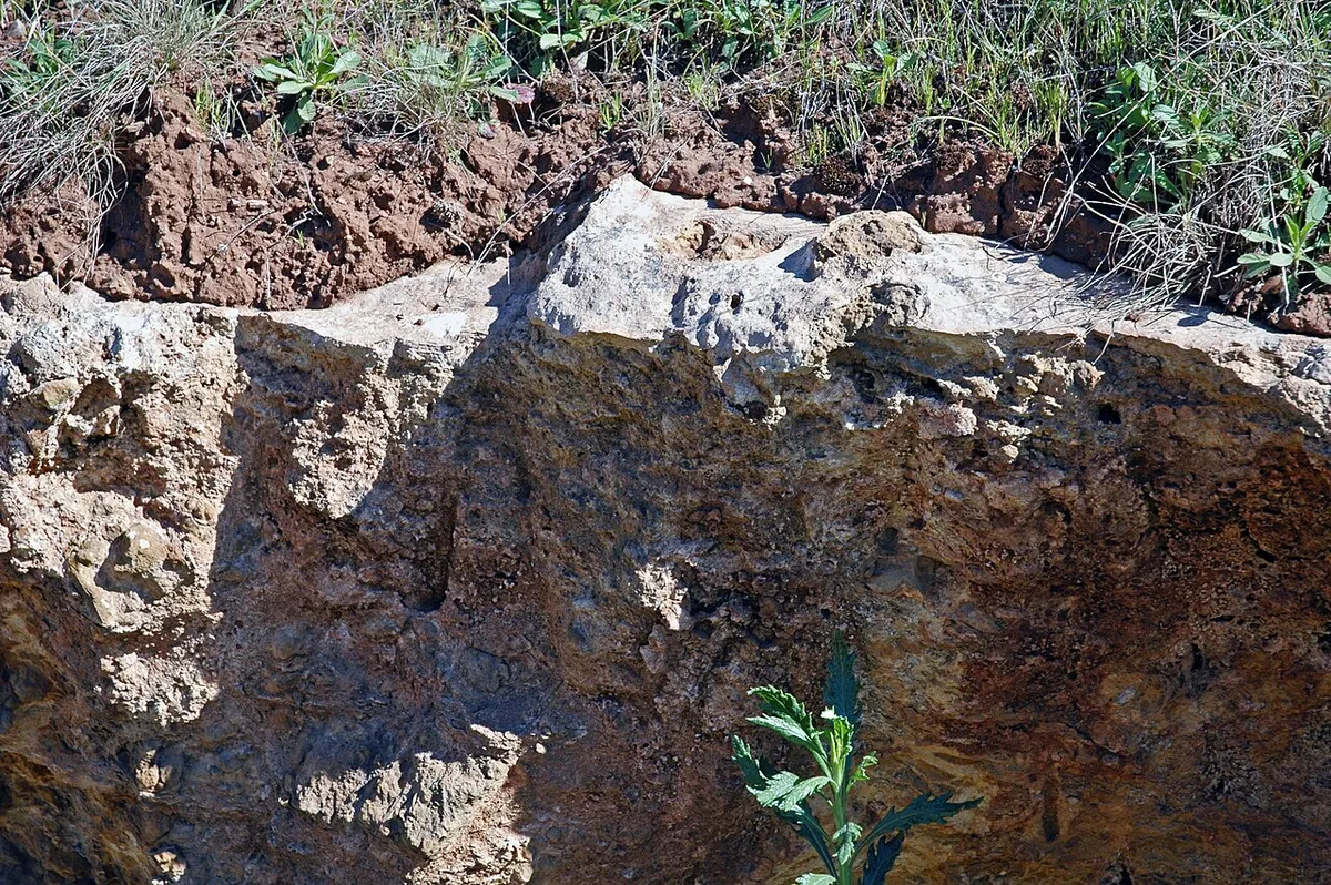 A hard pale calcrete (caliche) layer exposed beneath reddish topsoil in a road cut